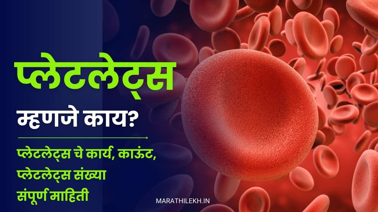 Platelets meaning in Marathi